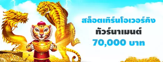 ทัวร์นาเมนต์และการแข่งขัน